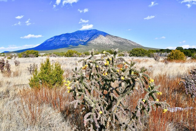 15 Entranosa Ct, Edgewood, NM 87015 - photo 13