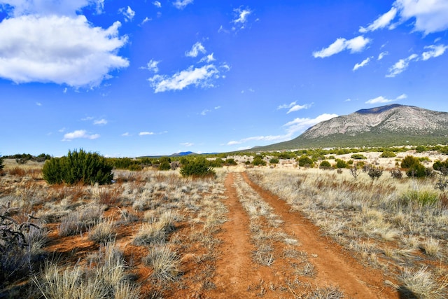 15 Entranosa Ct, Edgewood, NM 87015 - photo 11
