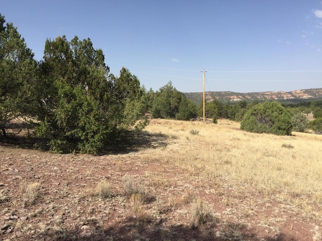 Listing photo 3 for LOT3 Sunflower Dr, Ramah NM 87321