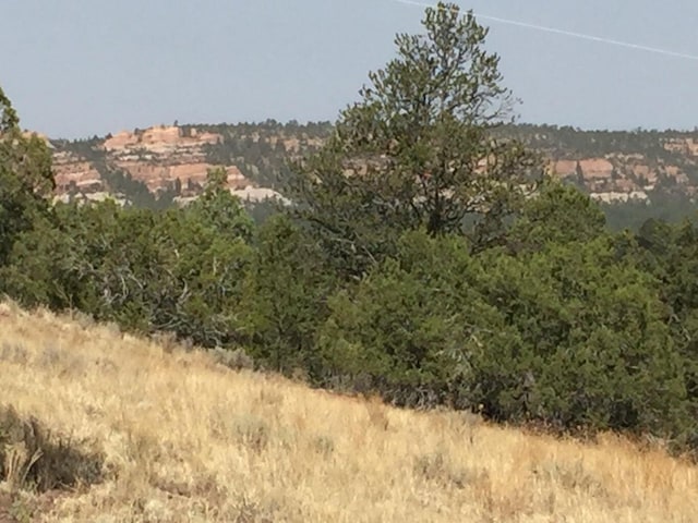 LOT3 Sunflower Dr, Ramah, NM 87321