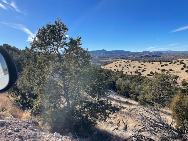 Listing photo 2 for LOT129 Pinon Spgs, Magdalena NM 87825