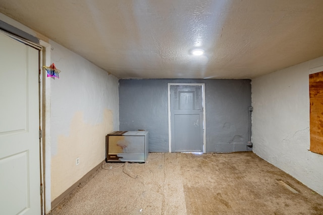 basement with light carpet and a textured ceiling