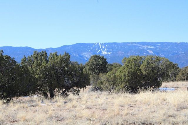 Listing photo 2 for 105ACRES Demetrio Rd, Sandia Park NM 87047