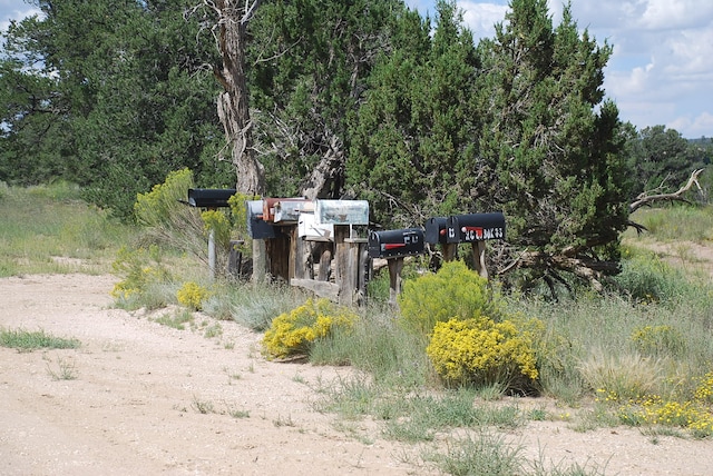 Listing photo 3 for 10 Lots, Pie Town NM 87827