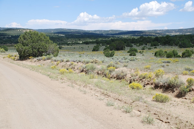 Listing photo 2 for 10 Lots, Pie Town NM 87827