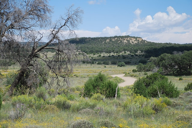 10 Lots, Pie Town NM, 87827 land for sale