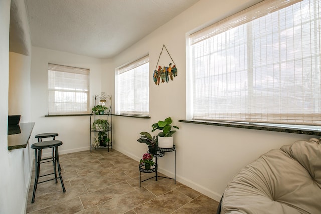 sitting room with a textured ceiling