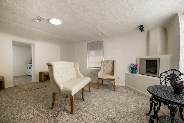 sitting room with carpet floors and a textured ceiling