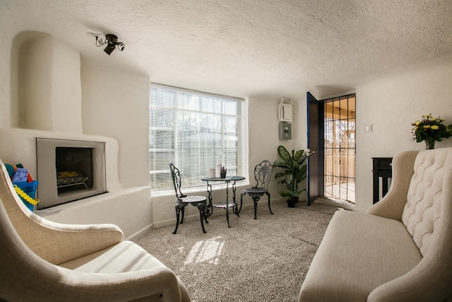 interior space featuring carpet and a textured ceiling