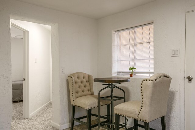 3102 Rosendo Garcia Rd SW, Albuquerque, NM 87105 - photo 41