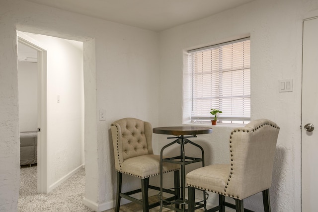 living area with carpet