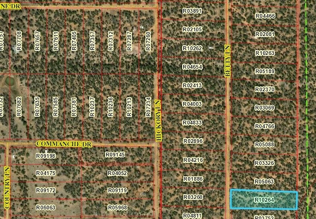 LOT618 Betty Ln, Ramah NM, 87321 land for sale