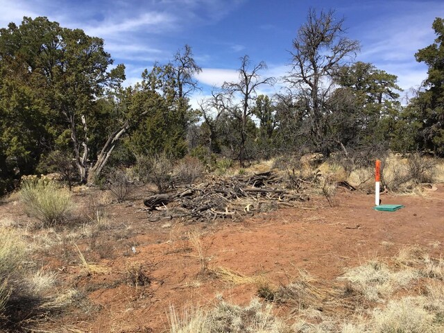 LOT641 Gabe Rd, Ramah, NM 87321