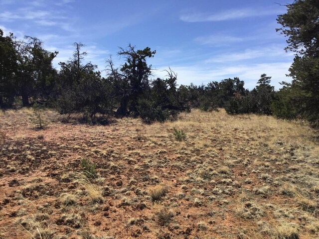 LOT641 Gabe Rd, Ramah, NM 87321