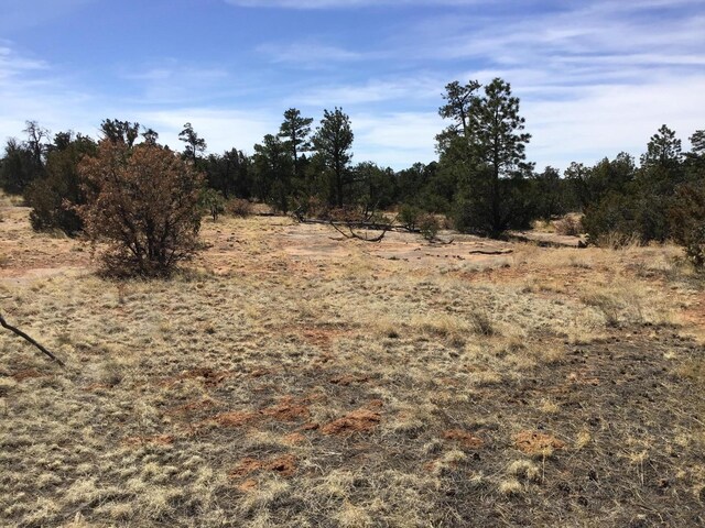 LOT641 Gabe Rd, Ramah, NM 87321