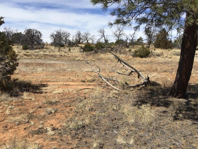 LOT641 Gabe Rd, Ramah, NM 87321