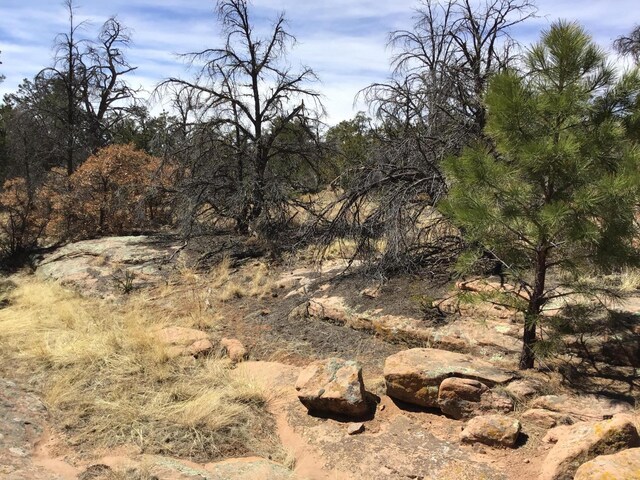 LOT641 Gabe Rd, Ramah, NM 87321