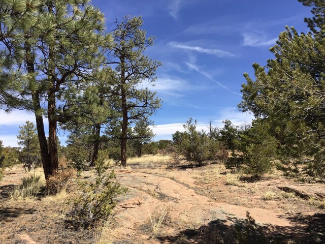 LOT641 Gabe Rd, Ramah, NM 87321