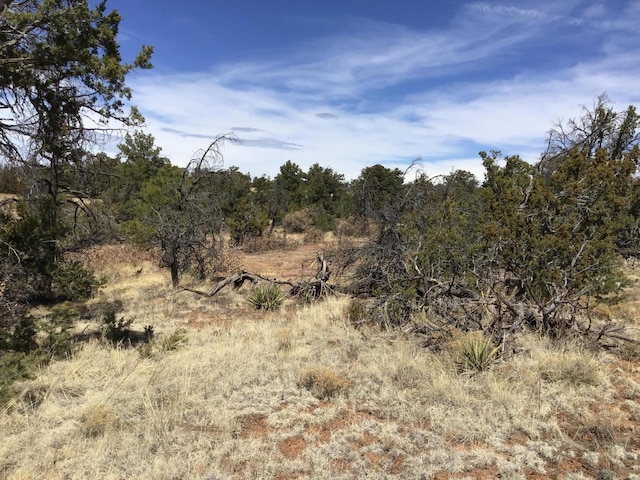 LOT641 Gabe Rd, Ramah, NM 87321
