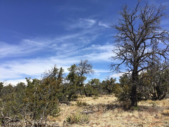 LOT641 Gabe Rd, Ramah, NM 87321