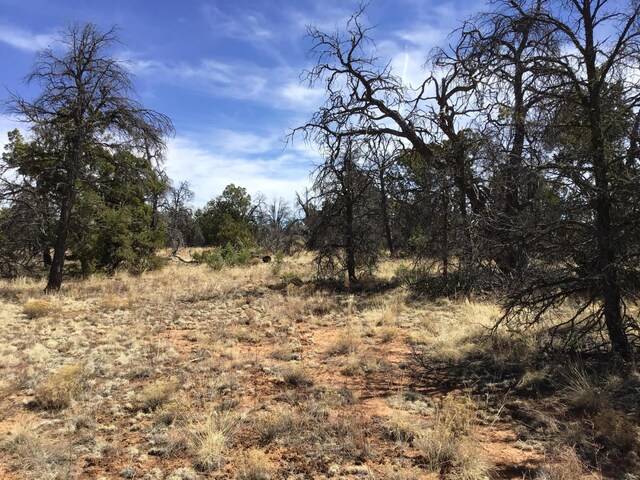 LOT641 Gabe Rd, Ramah, NM 87321