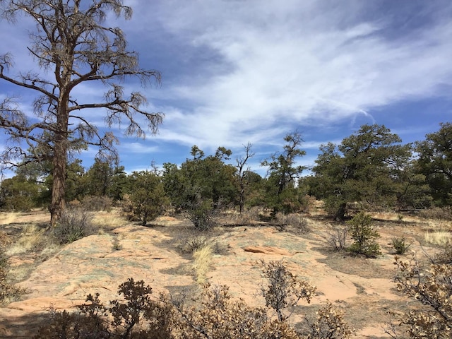LOT696 Gabe Rd, Ramah, NM 87321