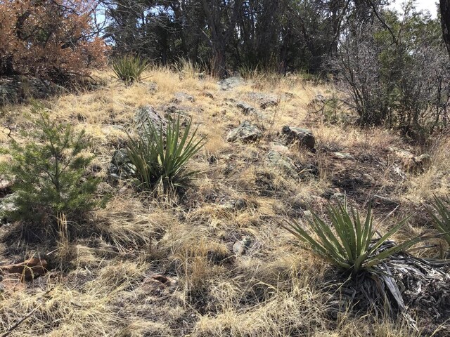 LOT696 Gabe Rd, Ramah, NM 87321