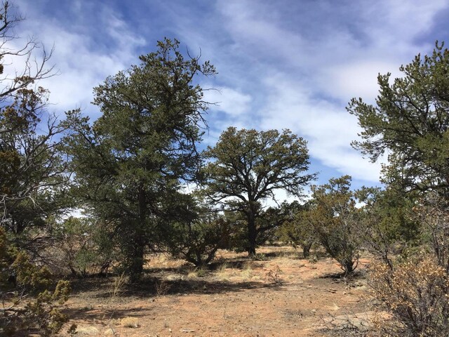 LOT696 Gabe Rd, Ramah, NM 87321
