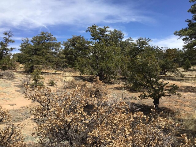 LOT696 Gabe Rd, Ramah, NM 87321