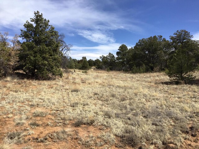 LOT696 Gabe Rd, Ramah, NM 87321