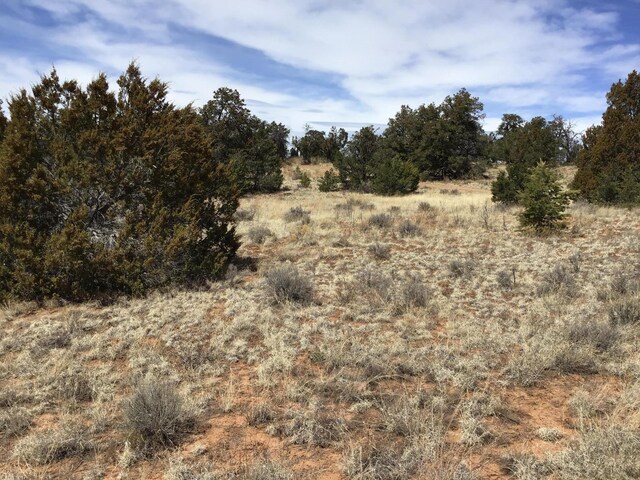 LOT696 Gabe Rd, Ramah, NM 87321