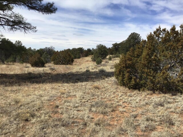 LOT696 Gabe Rd, Ramah, NM 87321