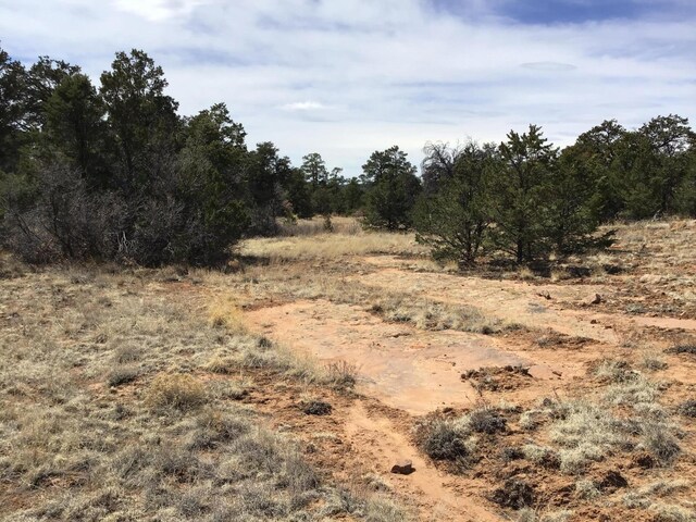 LOT696 Gabe Rd, Ramah, NM 87321
