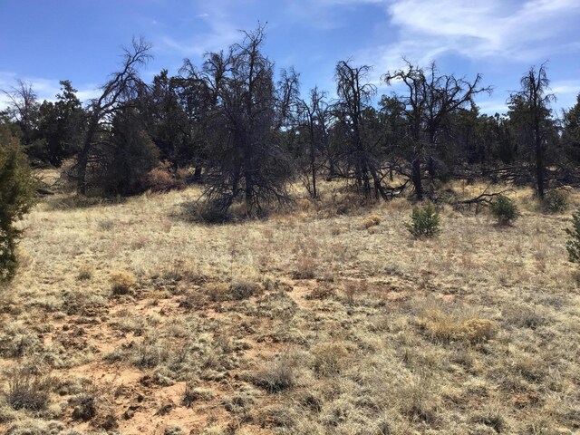 LOT696 Gabe Rd, Ramah, NM 87321