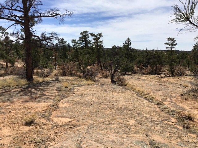 LOT696 Gabe Rd, Ramah, NM 87321