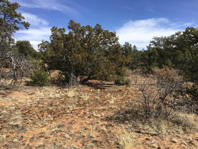 LOT696 Gabe Rd, Ramah, NM 87321