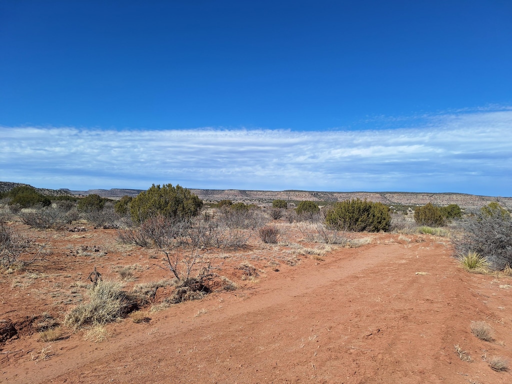 03 E Magnolia E, Magnolia, NM 88421 - photo 1