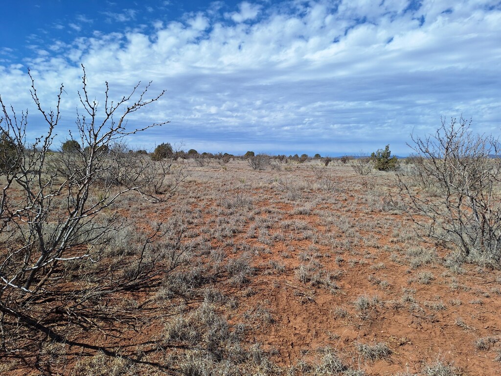 03 E Magnolia E, Magnolia, NM 88421 - photo 2