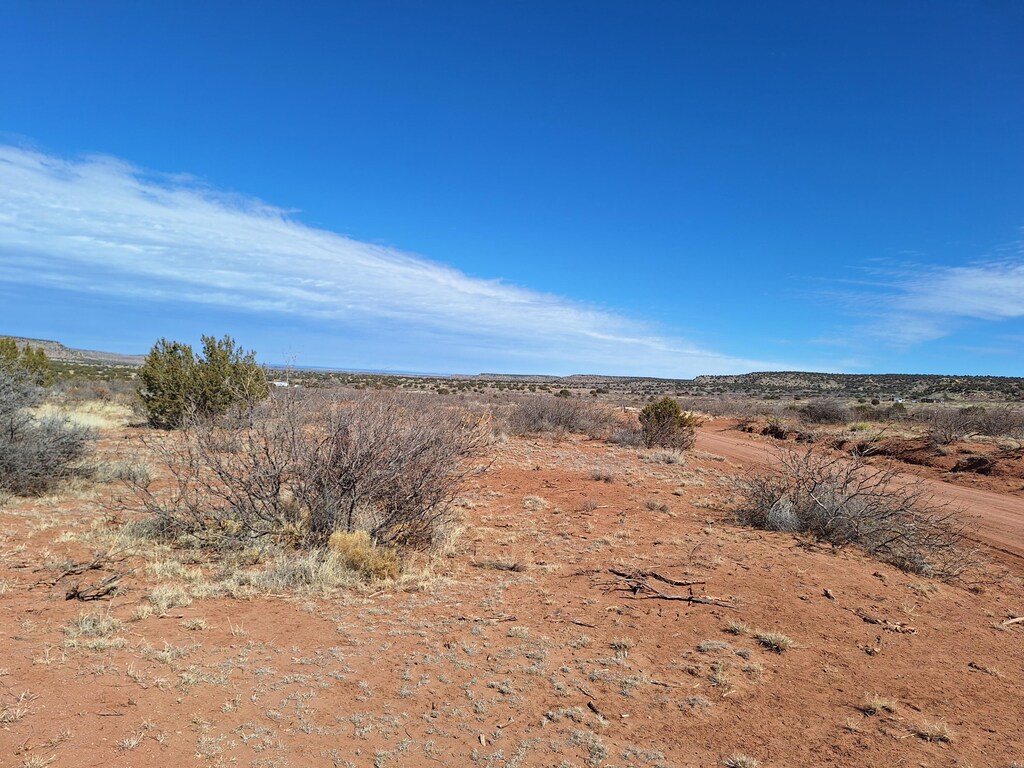 03 E Magnolia E, Magnolia, NM 88421 - photo 4