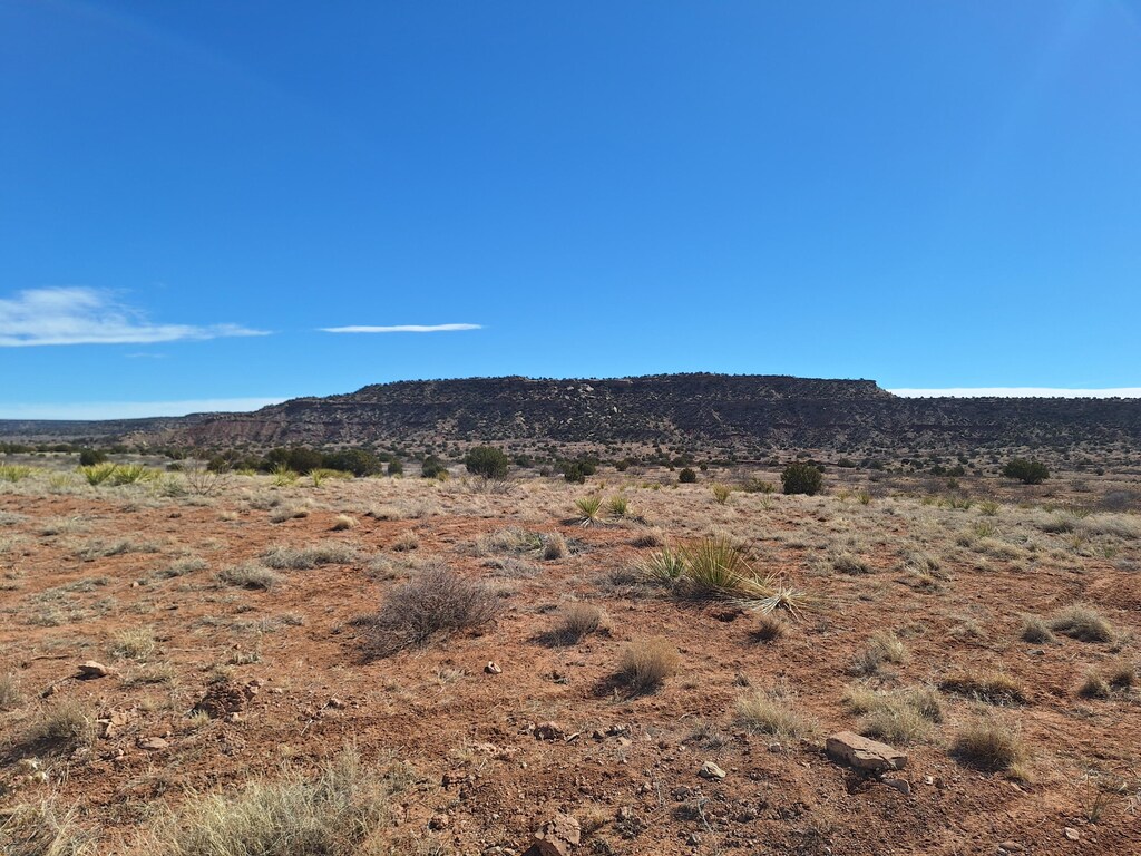 01 E Magnolia E, Magnolia, NM 88421 - photo 4
