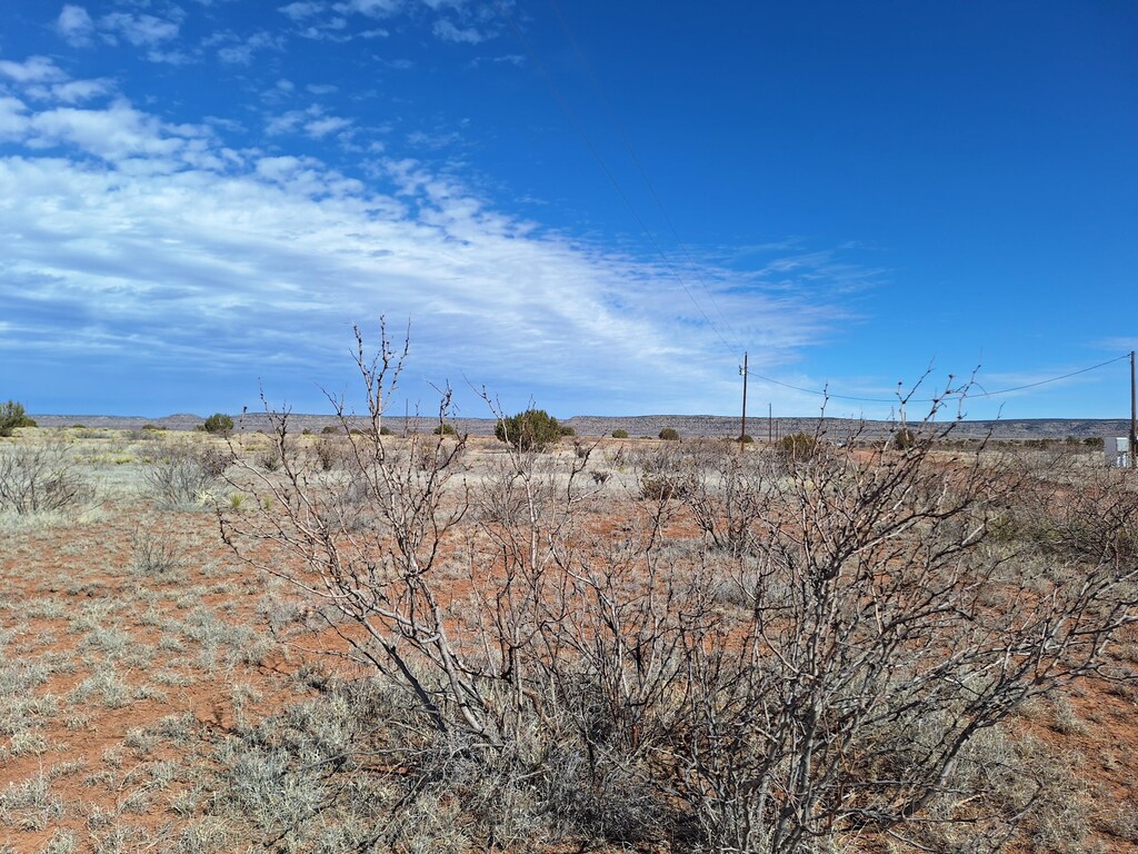 01 E Magnolia E, Magnolia, NM 88421 - photo 3