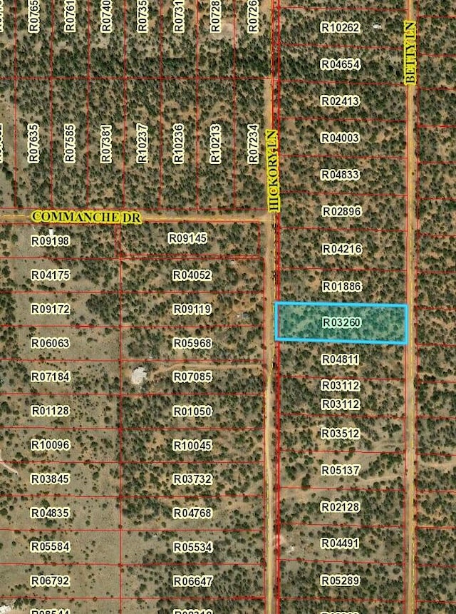 LOT585 Betty Ln, Ramah NM, 87321 land for sale