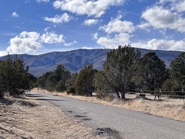 112 Ten Pines Rd, Torreon, NM 87061 - mountain view