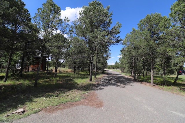 view of road