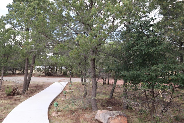 112 Ten Pines Rd, Torreon, NM 87061 - view of home's community