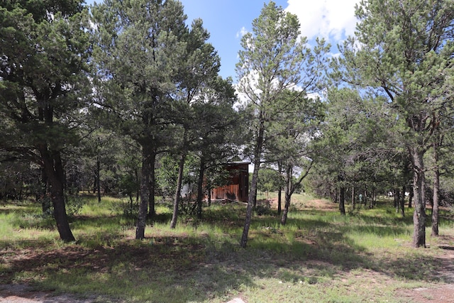 112 Ten Pines Rd, Torreon, NM 87061 - view of yard