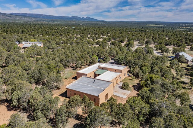 112 Ten Pines Rd, Torreon, NM 87061 - aerial view of property and surrounding area featuring a forest