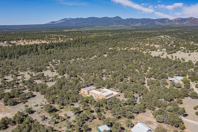 birds eye view of property with a mountain view and a view of trees