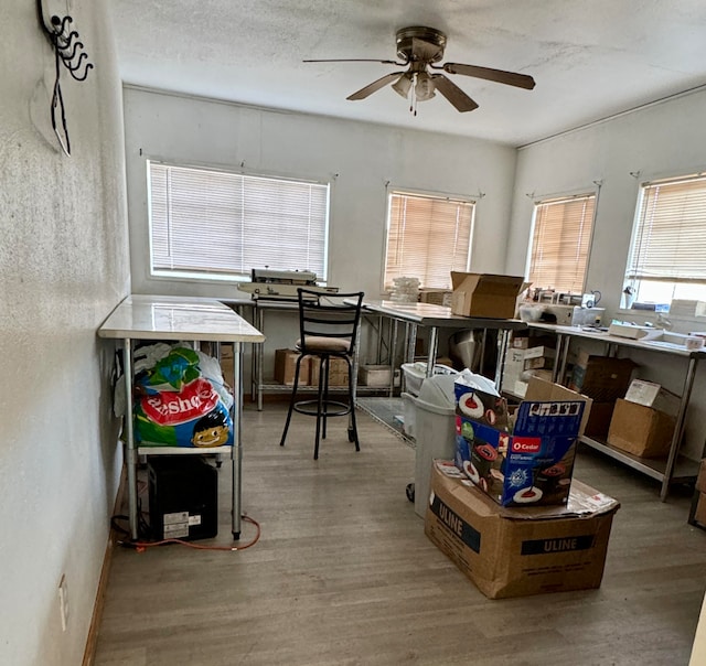 office featuring wood-type flooring and ceiling fan