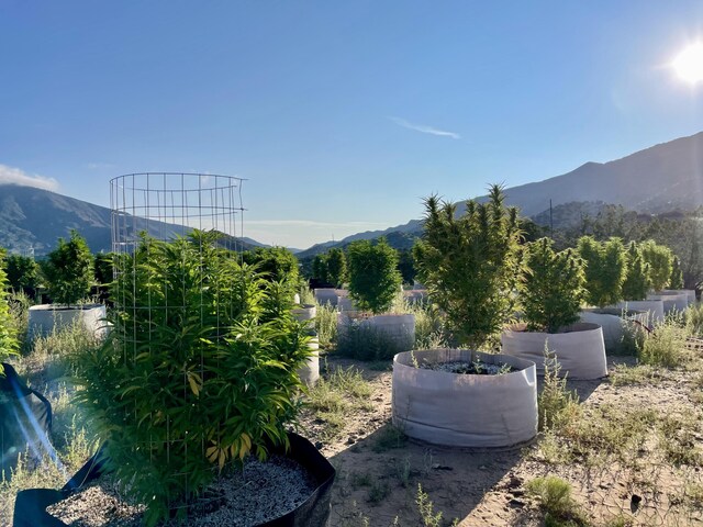 145 Coyote Springs Rd SE, Albuquerque, NM 87123 - photo 25